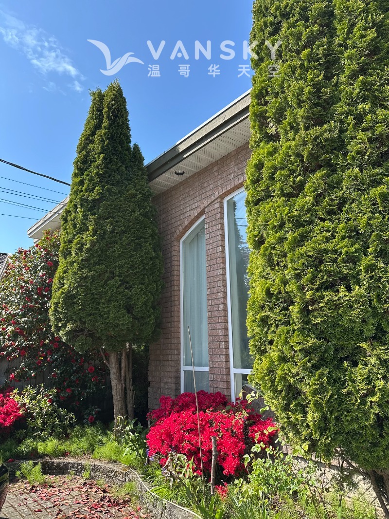 250827200751_Front yard two.jpg